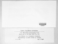 Image Associated With the Occurence